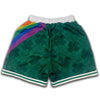 Lucky Green Boston Celtics NBA Swingman Basketball Shorts Rear with Shamrocks all over print and rainbow pot of gold